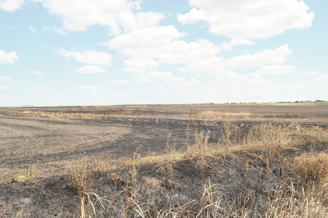 Read more about the article INCENDIILE DE MIRIȘTE PUN ÎN PERICOL BUNURILE COMUNITĂȚII