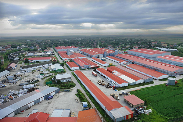 dudestii-noi-casa-rusu-fabrica