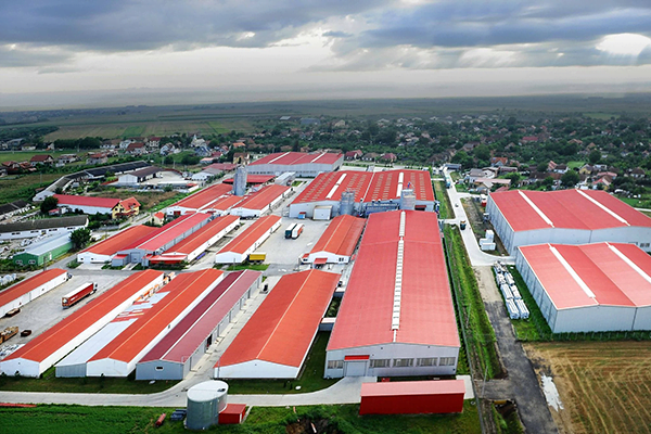 dudestii-noi-hale-industriale-fabrici